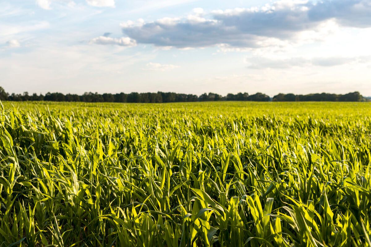 Op weg naar duurzame landbouw